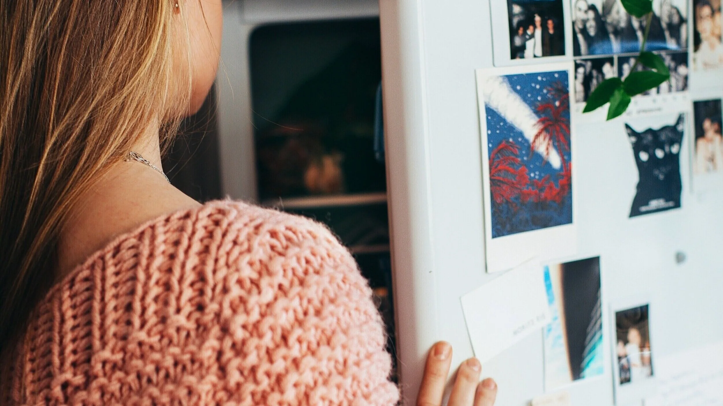 back-view-fashion-fridge-1458687.jpg