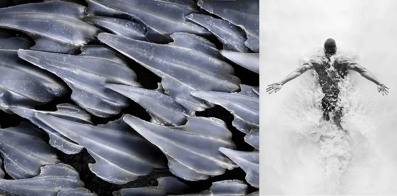 sharkskin-swimmer.jpg
