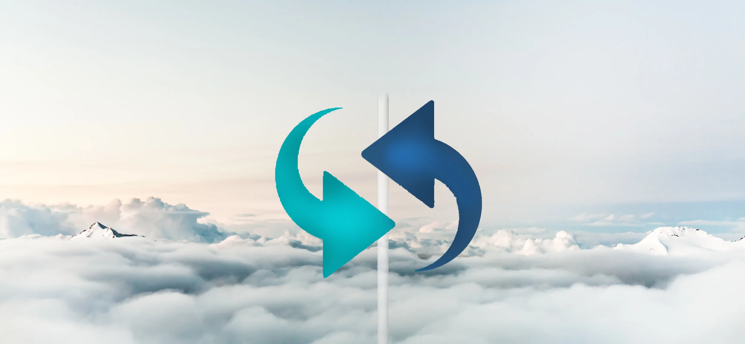 Past & Future Flip.jpg