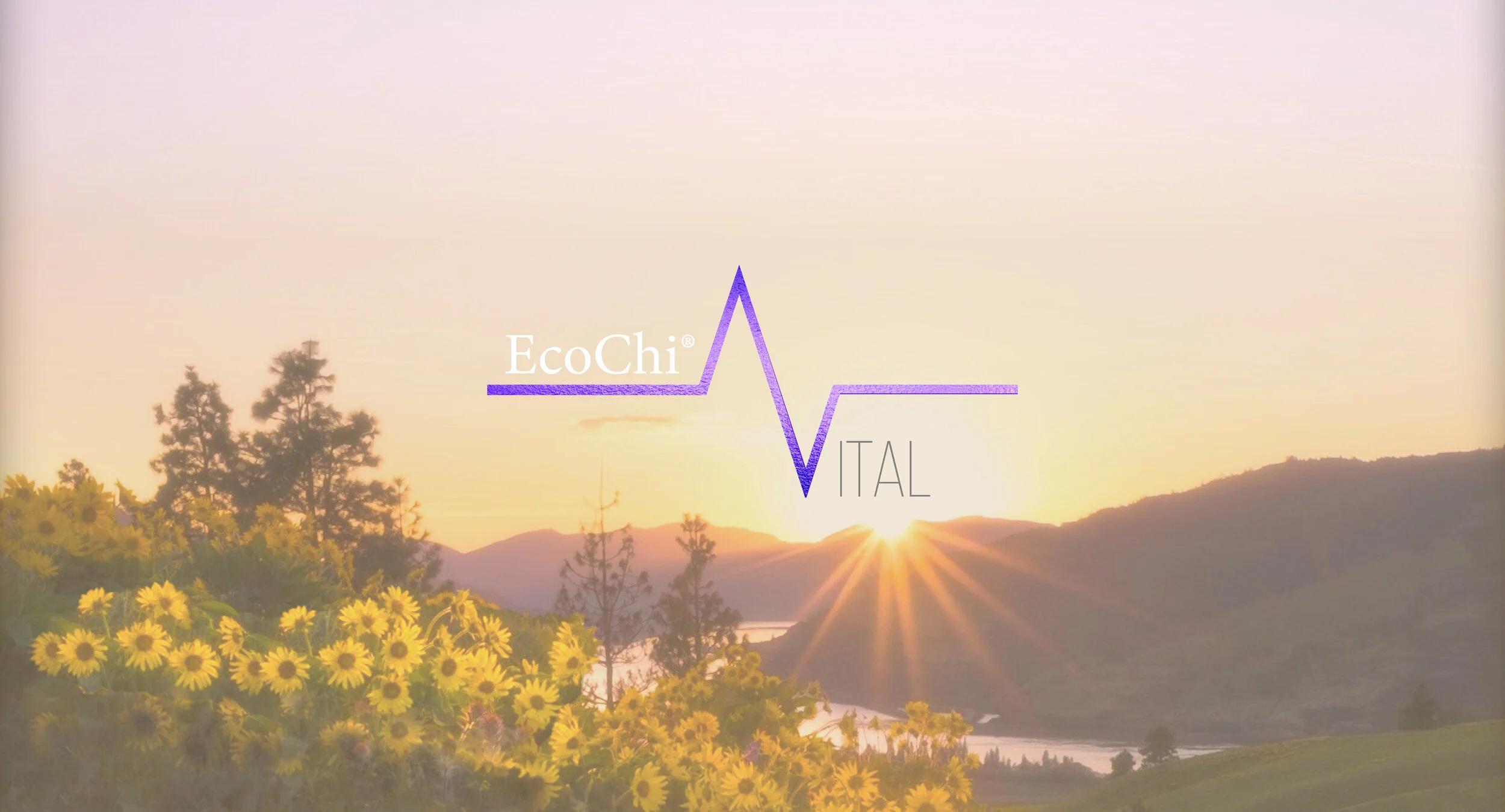 Banner_Vital Summit_3.jpg