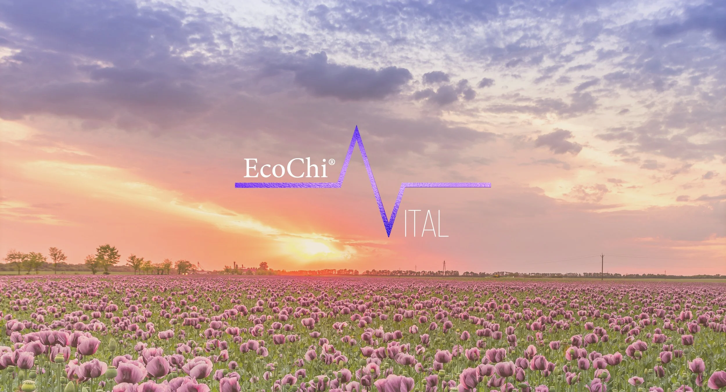 Vital Sumit June 2021_Banner_Vital Summit_3.jpg