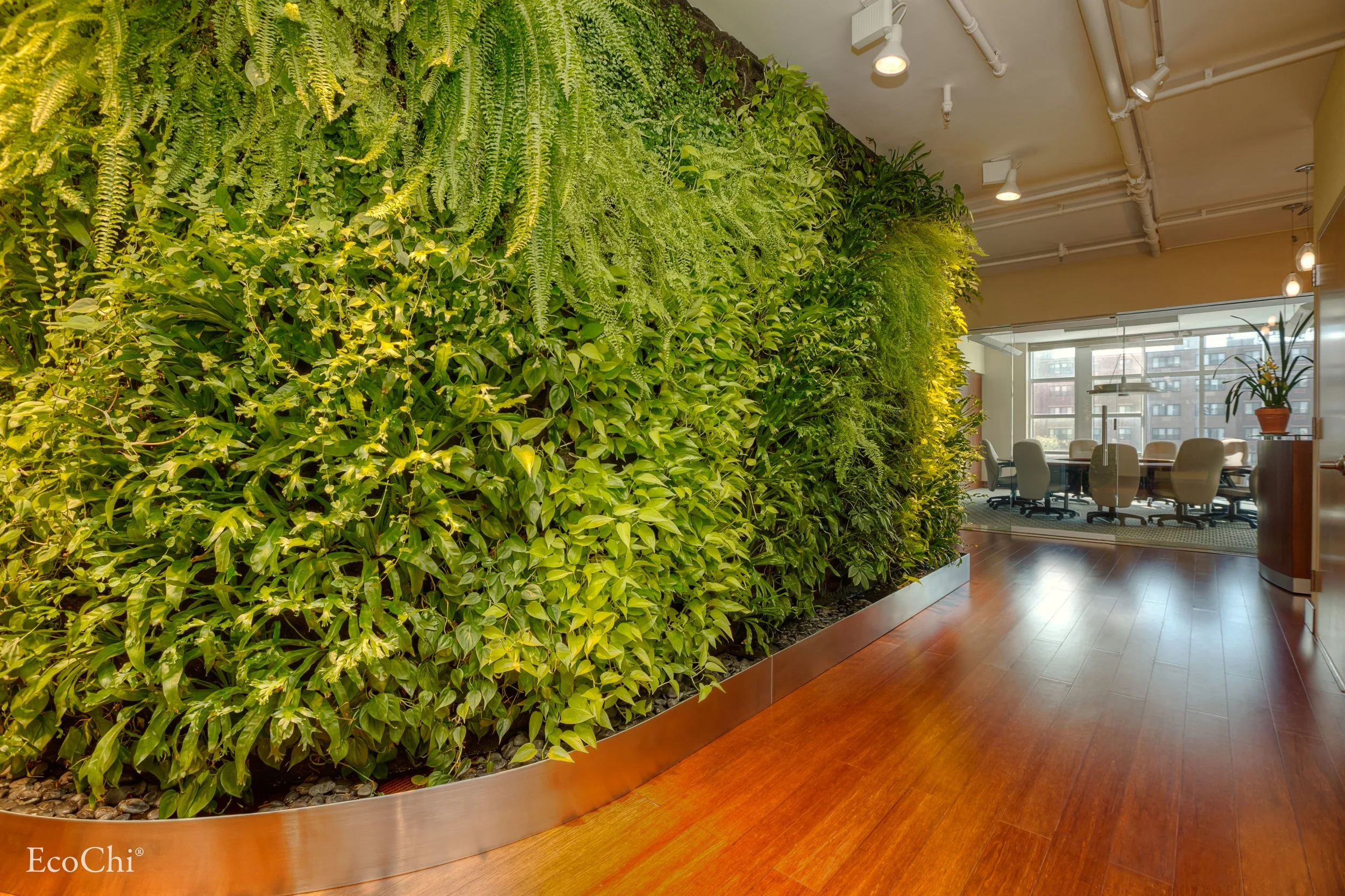 Harlem_Green+Wall_WM_WEB.jpg