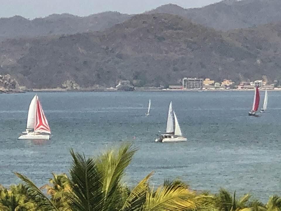 Off they go!🇲🇽⛵️#racingthehouse