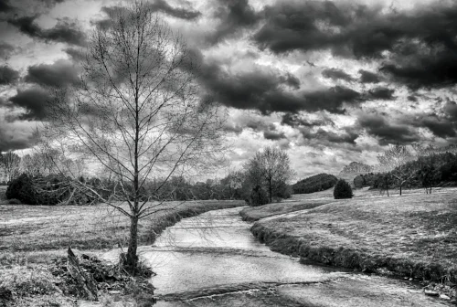 "Even when walking through the dark valley of death I will not be afraid, for you are close beside me, guarding, guiding all the way." Psalm 23:4 TLB Photo by MichaelVines