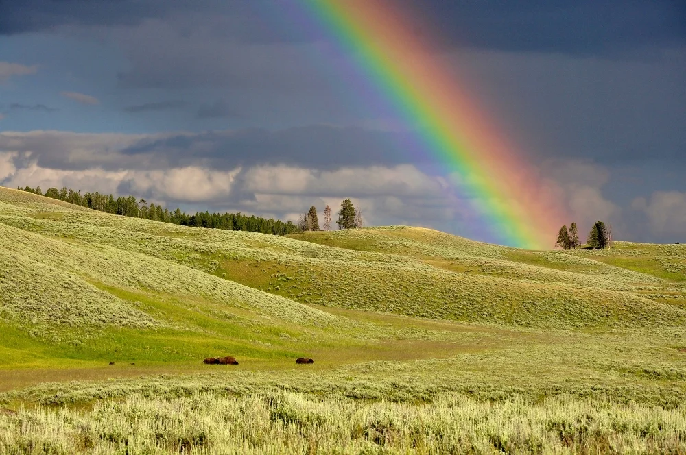 Some may think I scheduled this post for the middle of March to connect it to St. Patrick’s Day, which is a day to look for the pot of gold at the end of the rainbow and a sign of good luck. I did not. It’s a fun example how we can laugh with God and recognize he puts even the smallest of details in place. Photo by Pexels