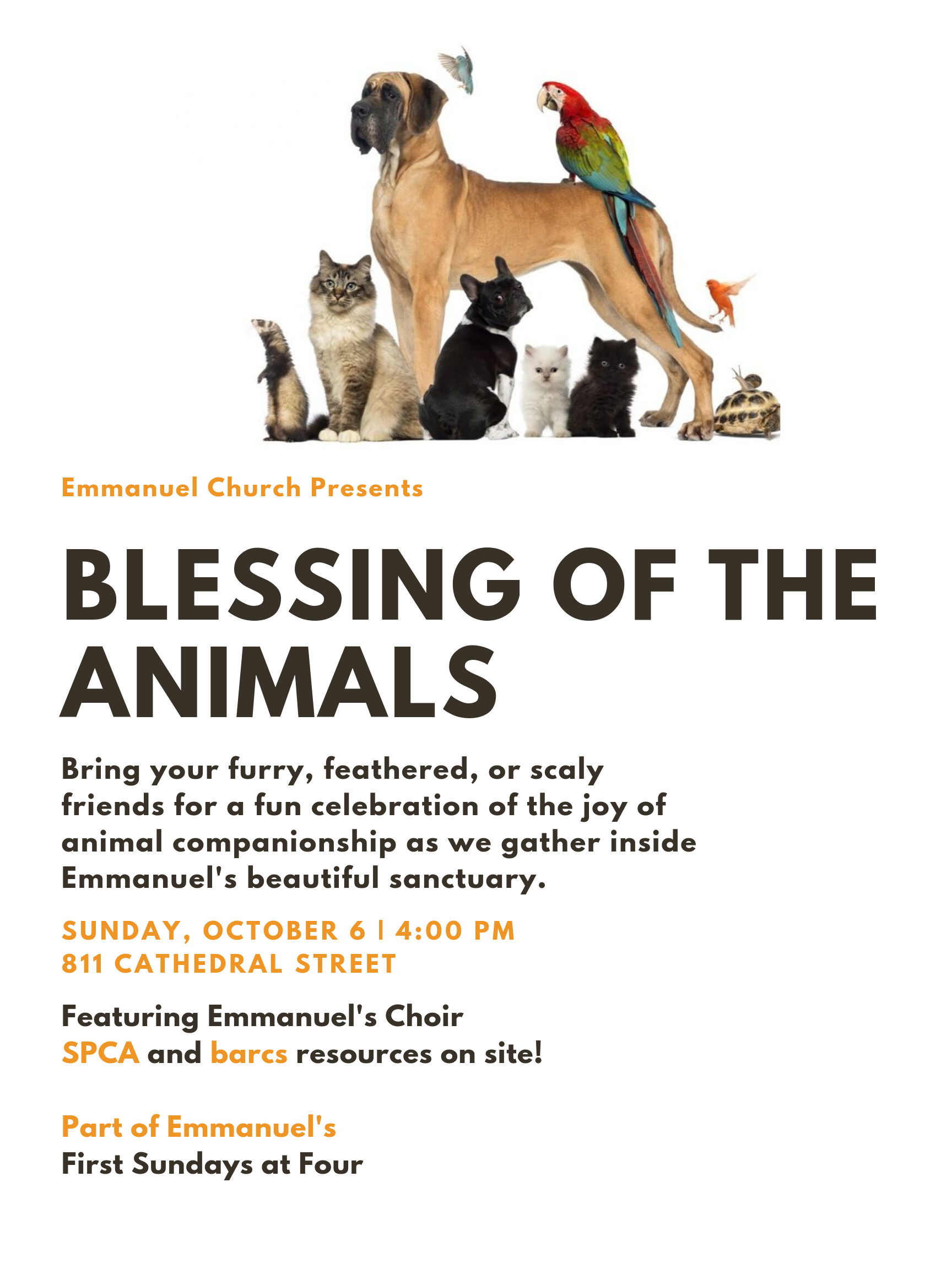Blessing Animals 10-06-19.png