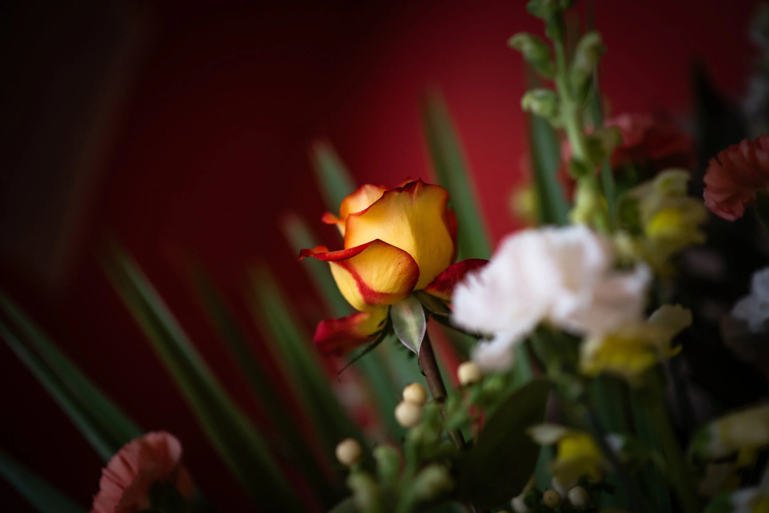 Easter 29-2.jpg