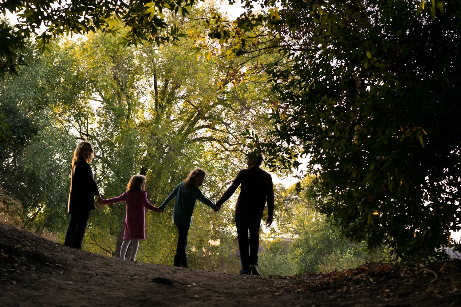 family of four walking along a path-Danville lifestyle photographer