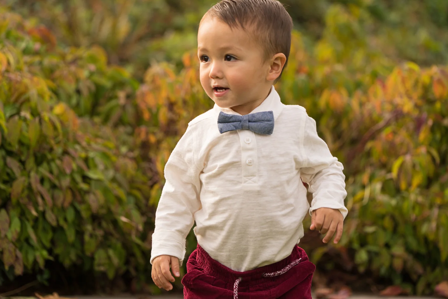 18 month old boy playing at the park-San Ramon lifestyle family photography