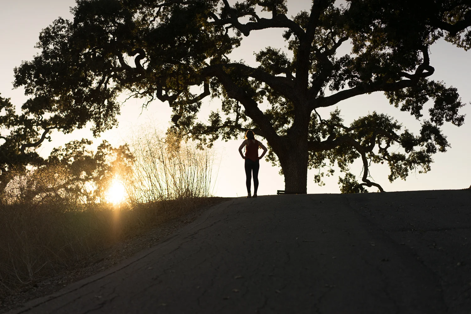 high school senior at sunset-Danville lifestyle photographer