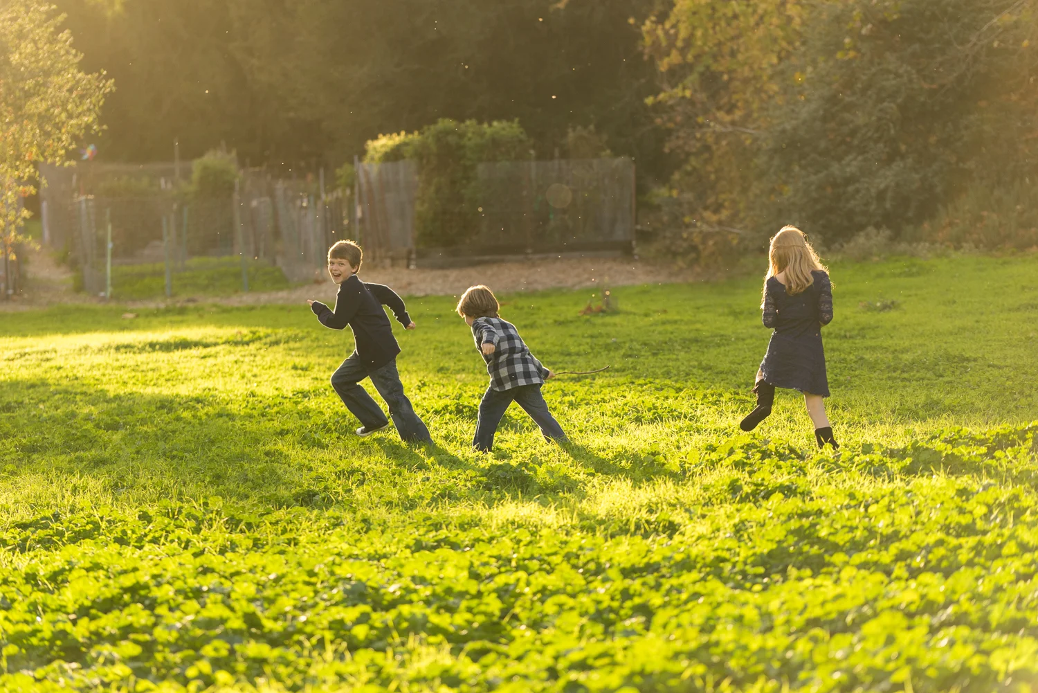sister and two brothers playing in the gardens-San Ramon children's photographer