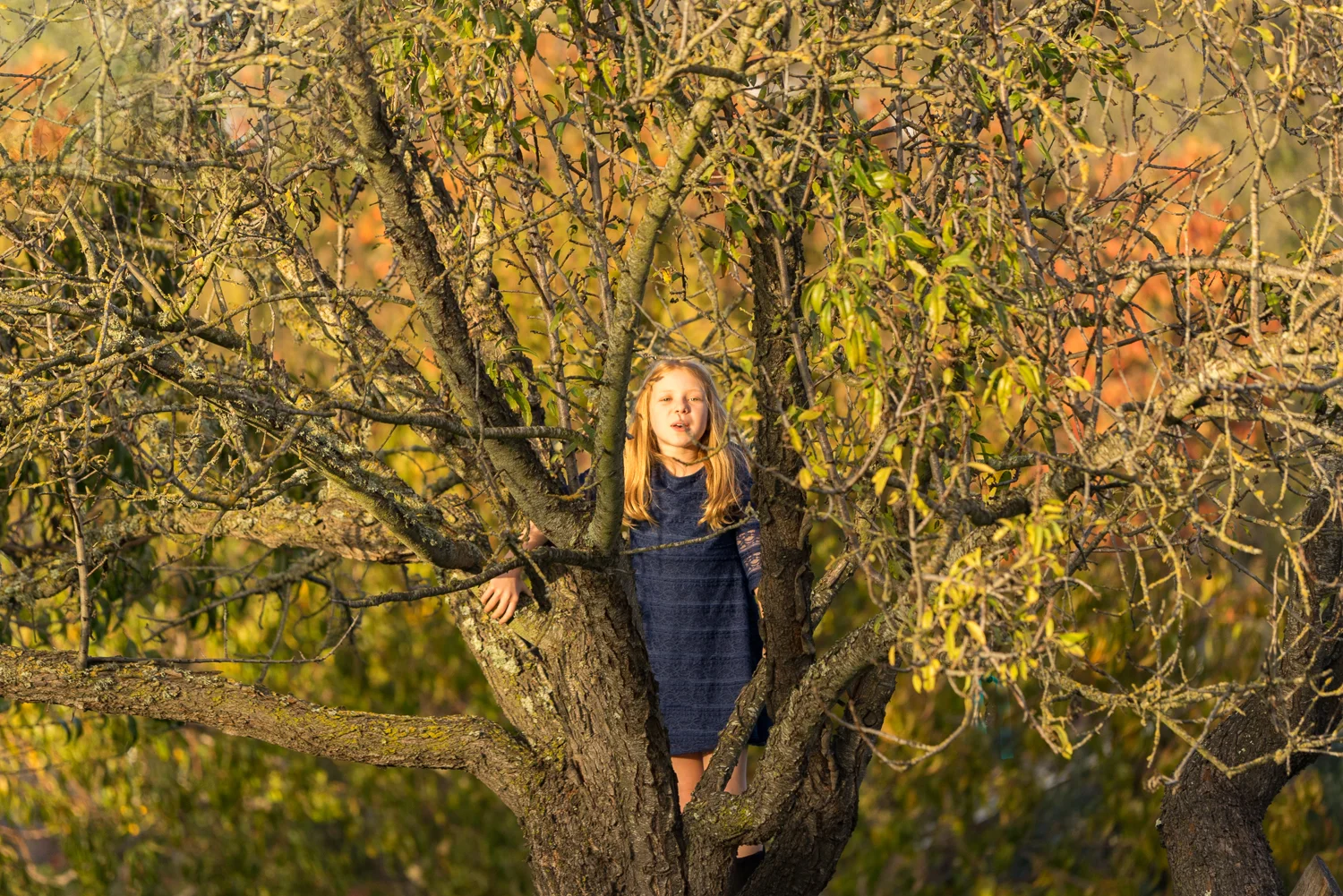 10 year old girl in tree-San Ramon family photographer