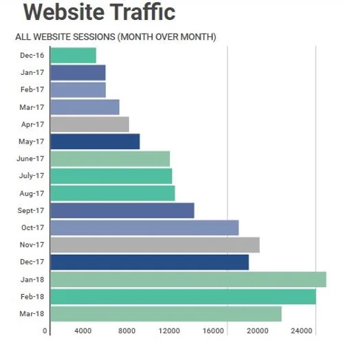 FFI Web Traffic.JPG
