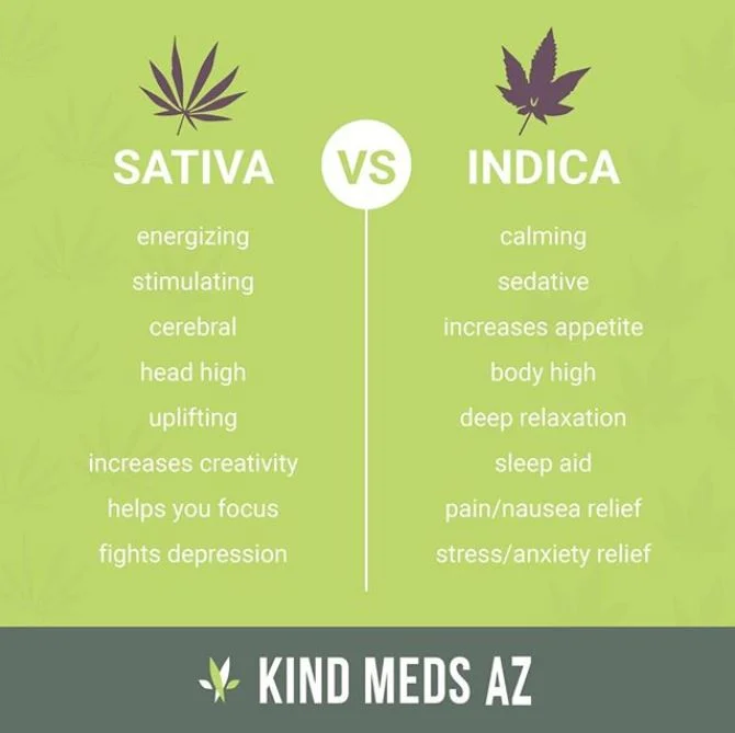 Kind Meds Sativa.JPG