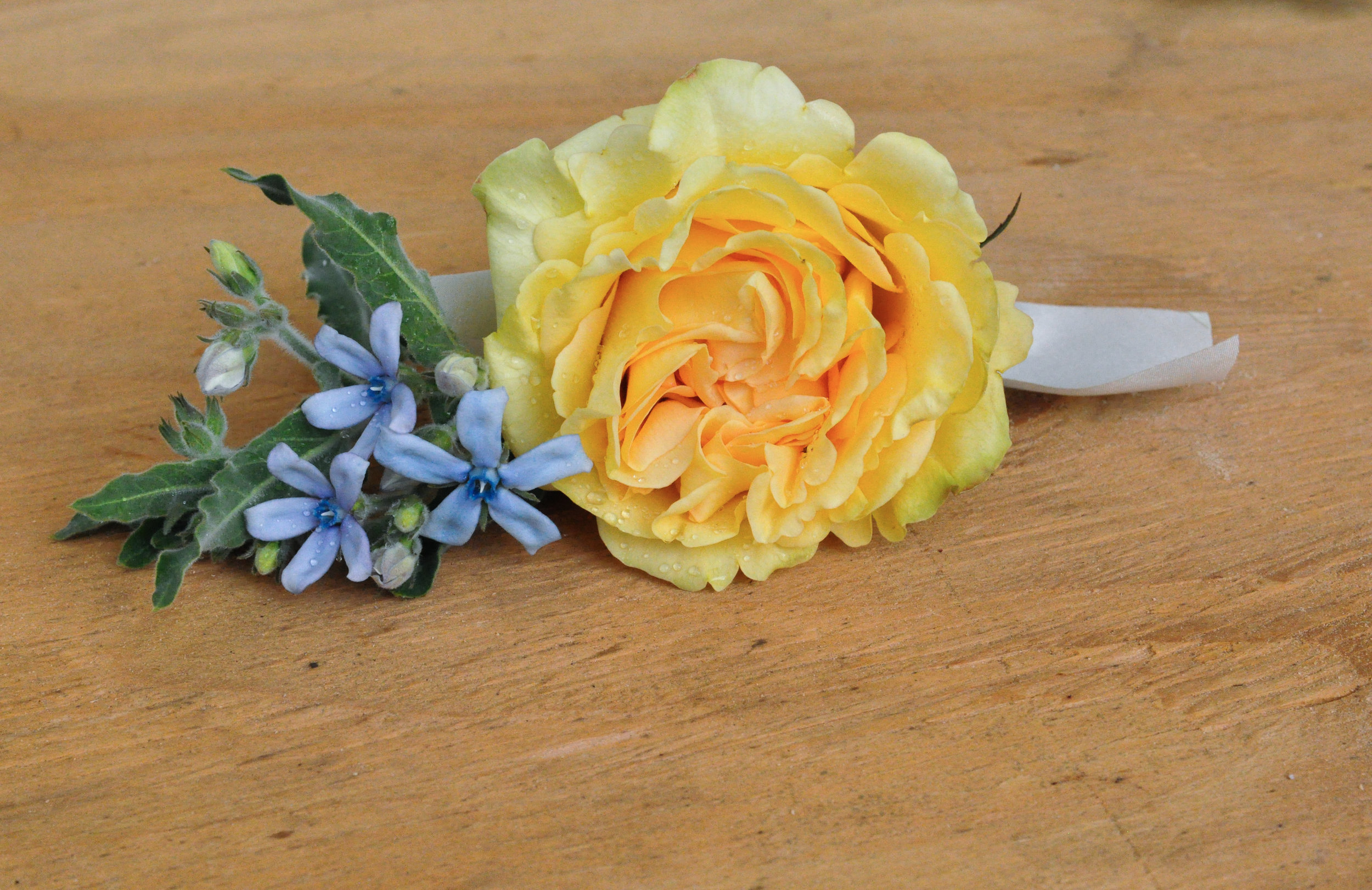 Here's a close-up of the groom's cute bout.