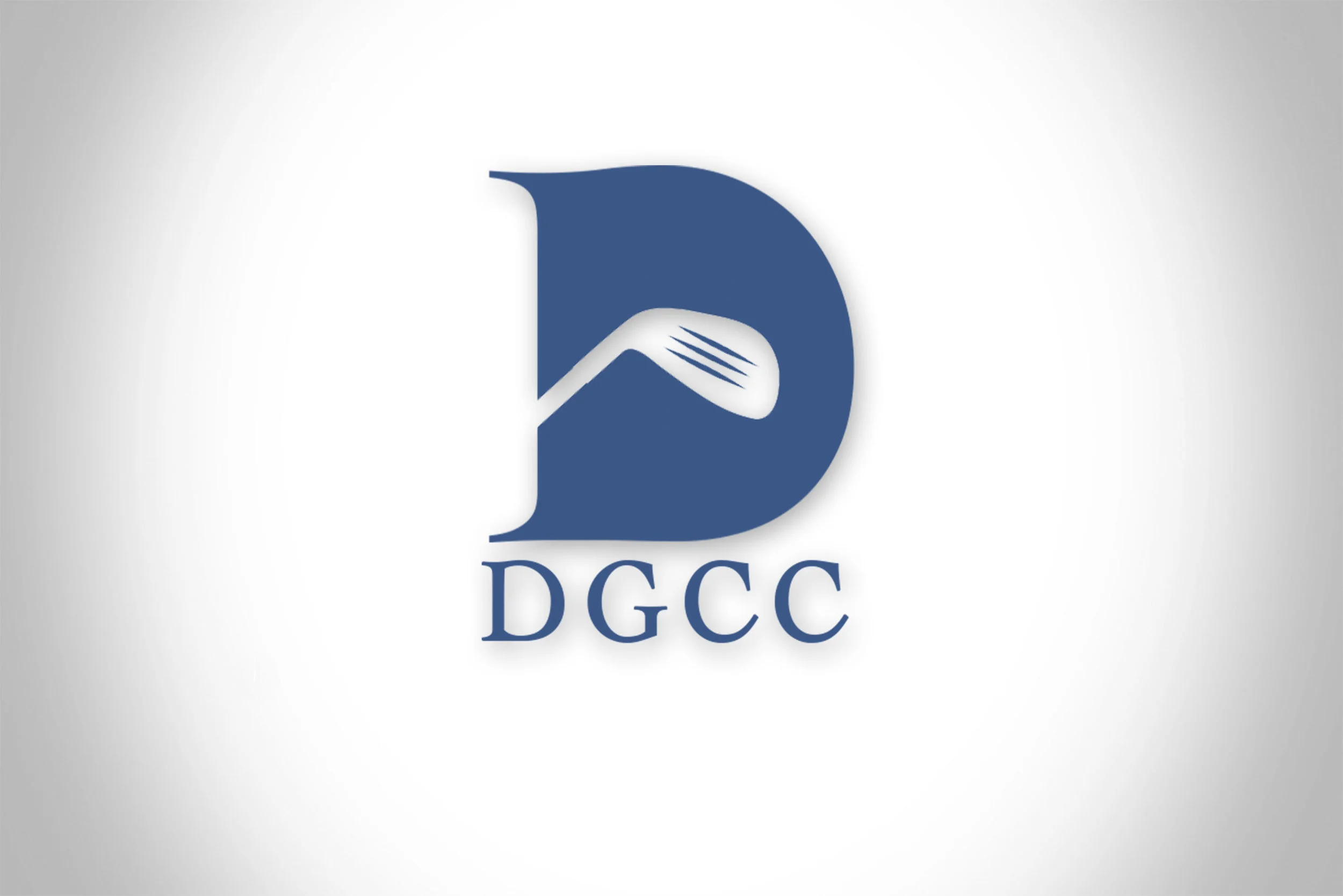 LOGO 5.3