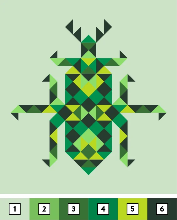 coleoptera-colors-04.jpg