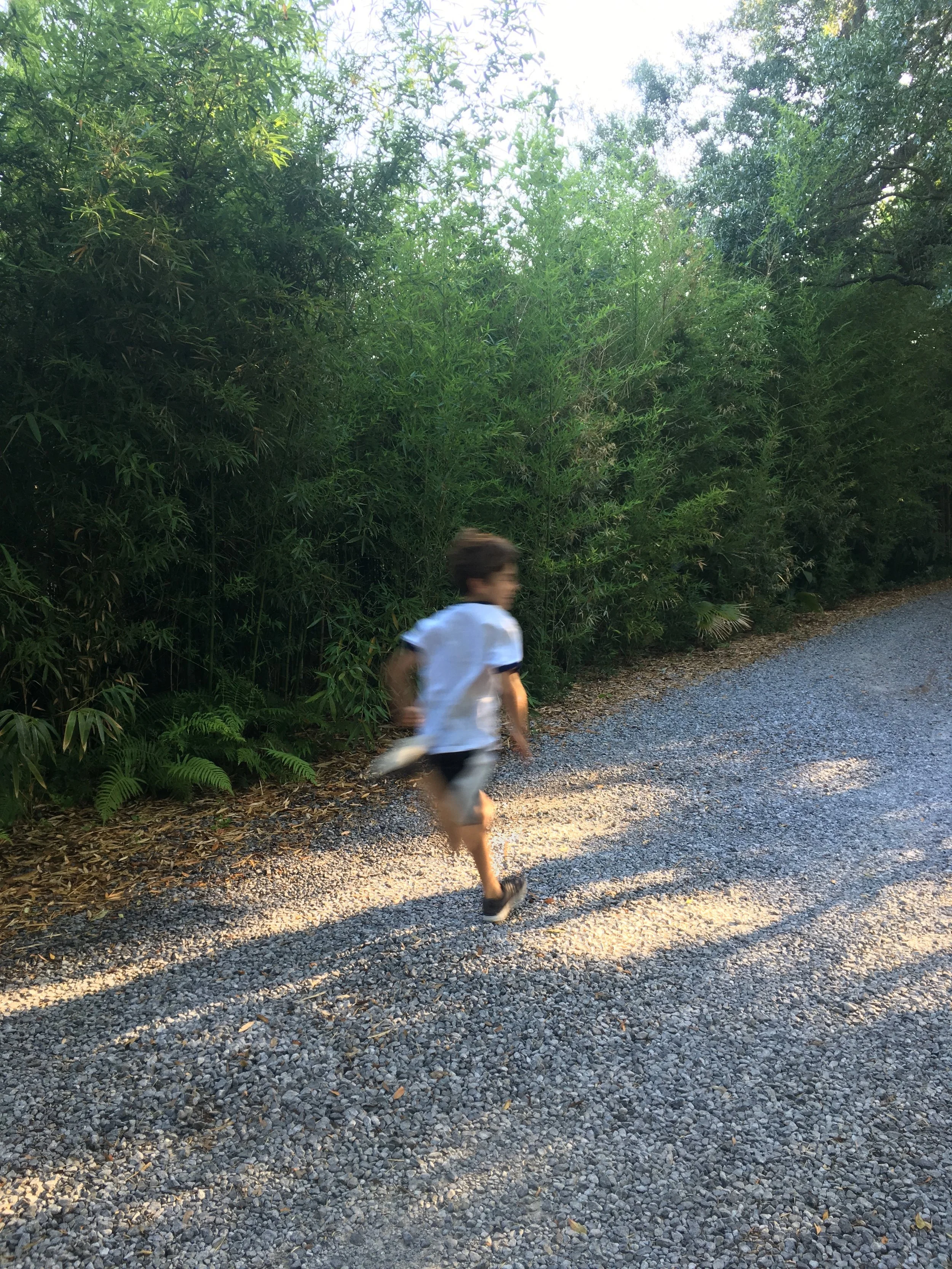 run.jpg