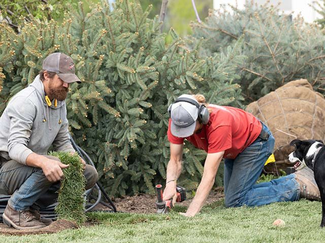 Softscaping and tree planting in the Gallatin Valley.