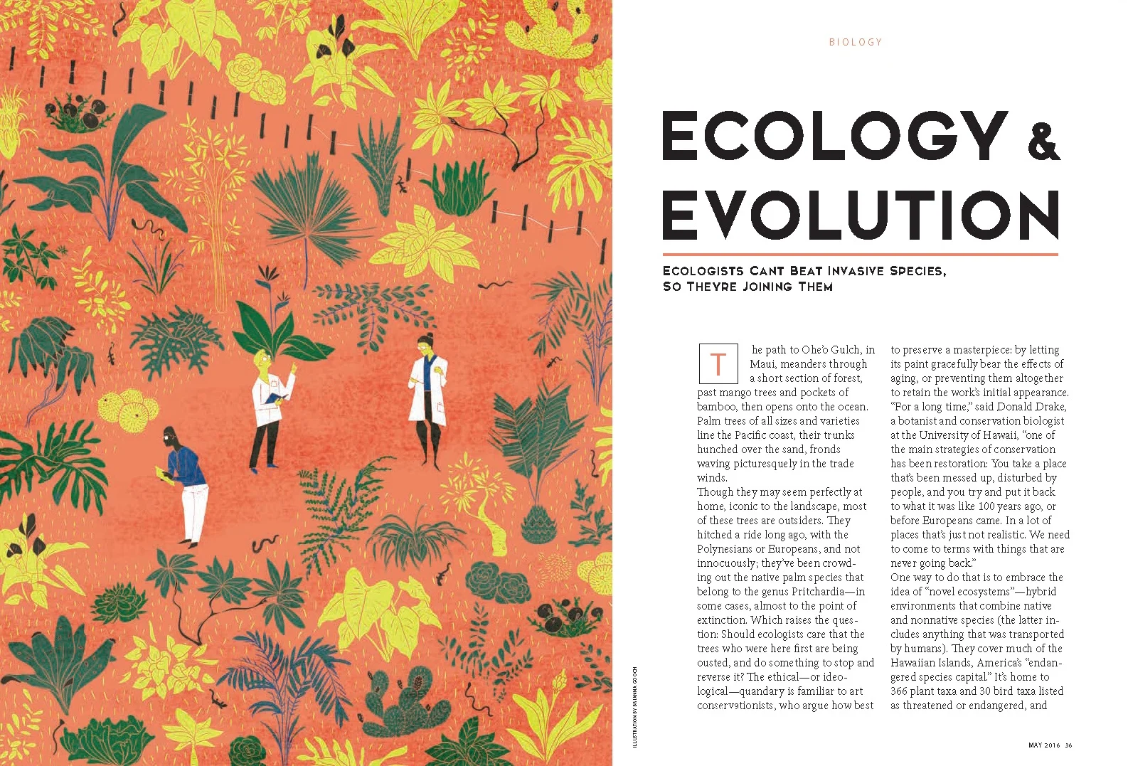 LayoutMockups&Illustrations_MiniThesis_Page_1.jpg