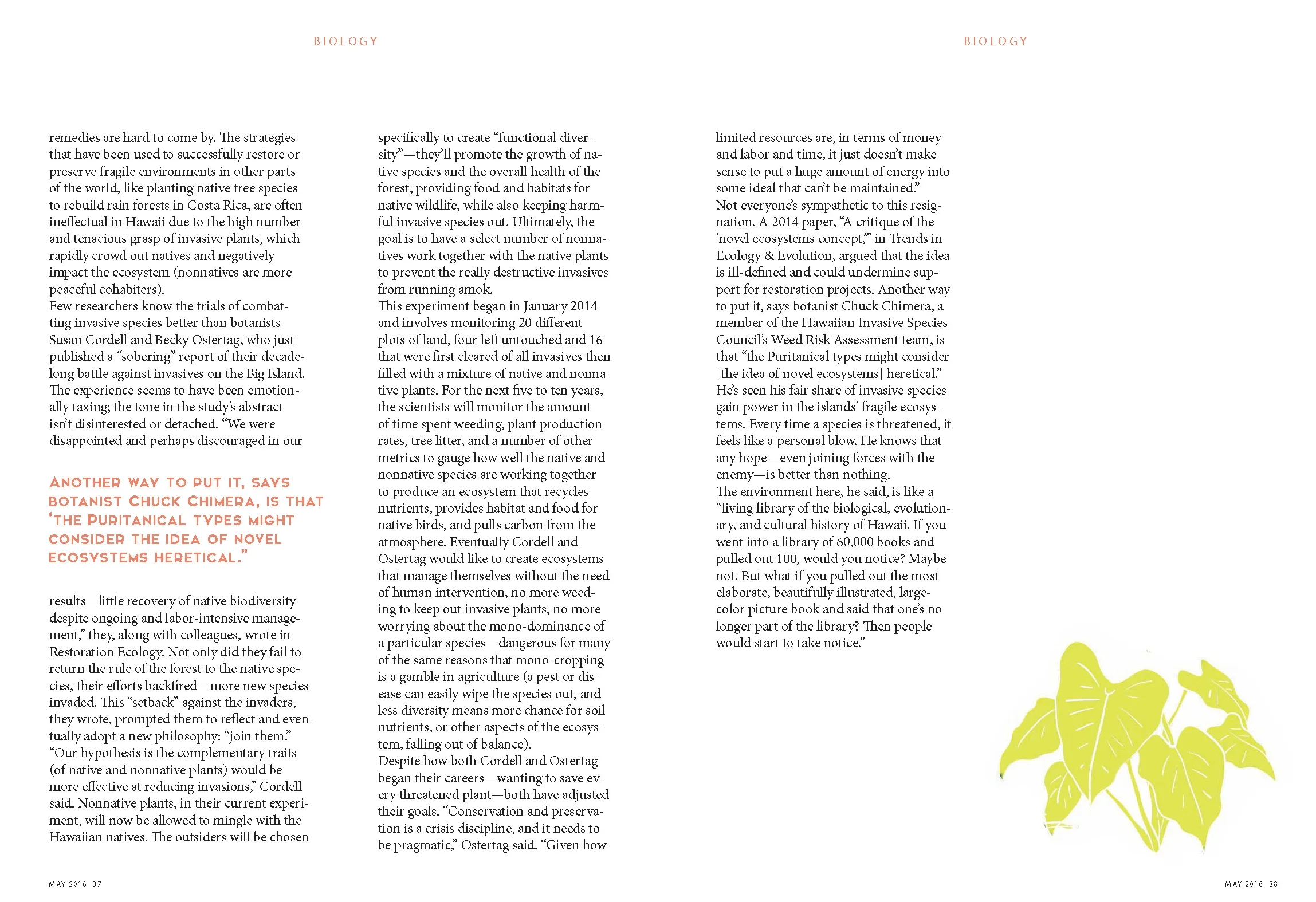 LayoutMockups&Illustrations_MiniThesis_Page_2.jpg