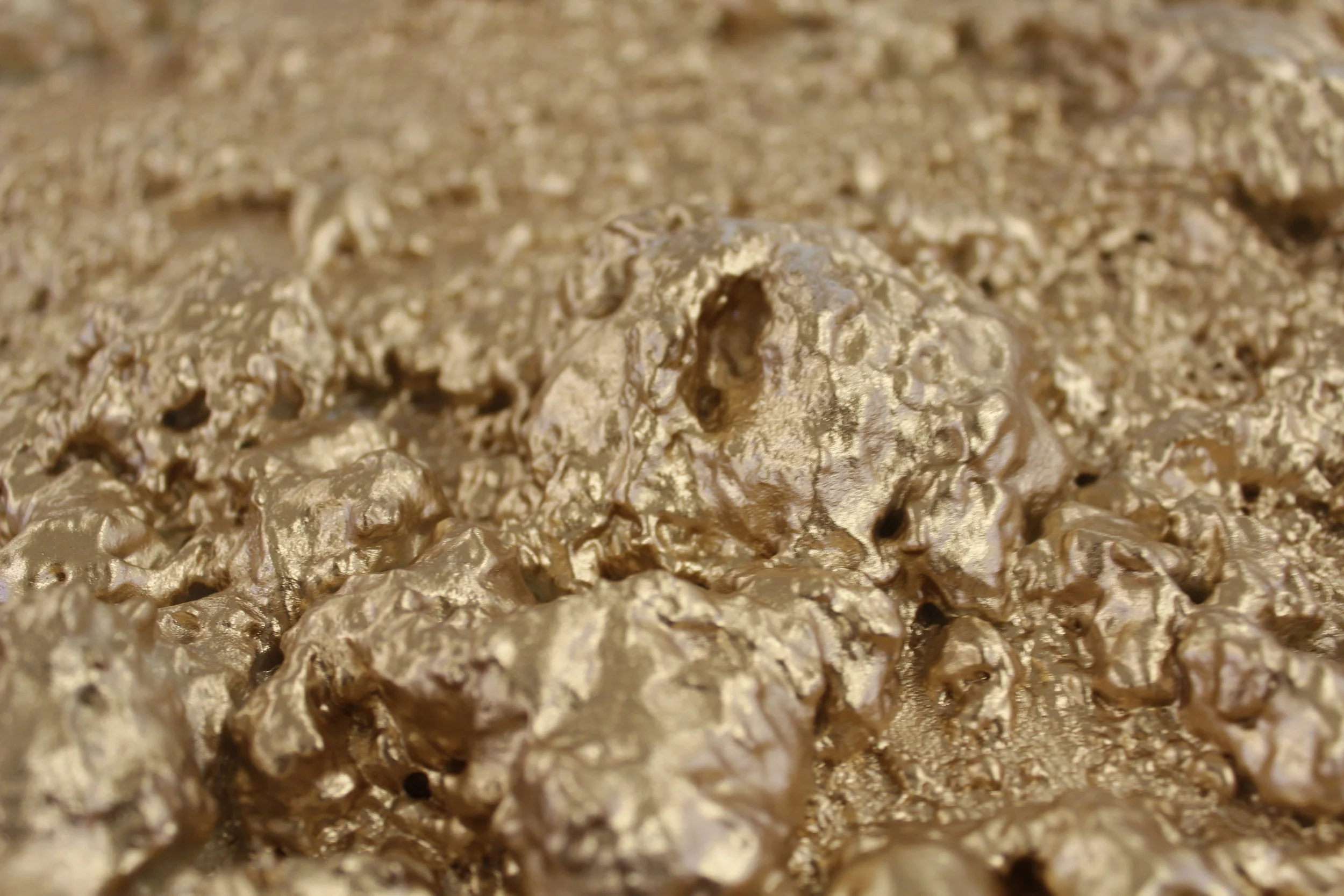 IMAGE FOR ABOUT SECTION.JPG