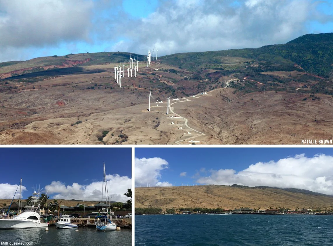 Maalaea Maui Hawaii