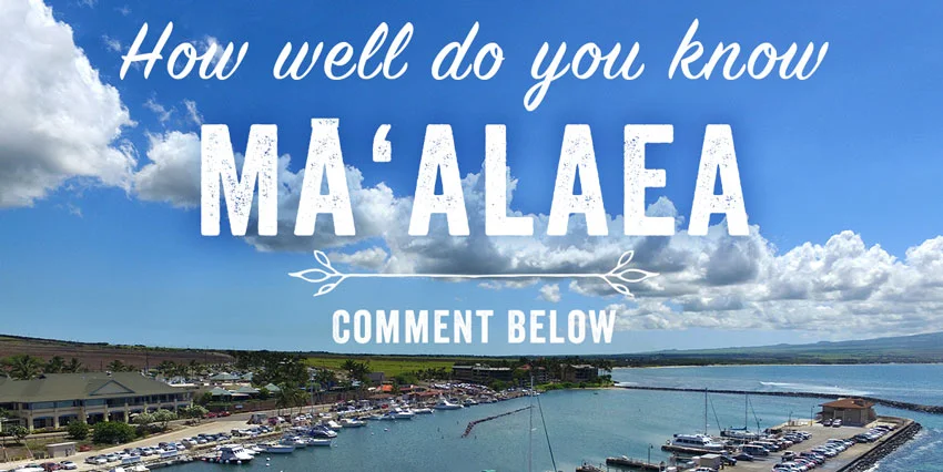 maalaea comments