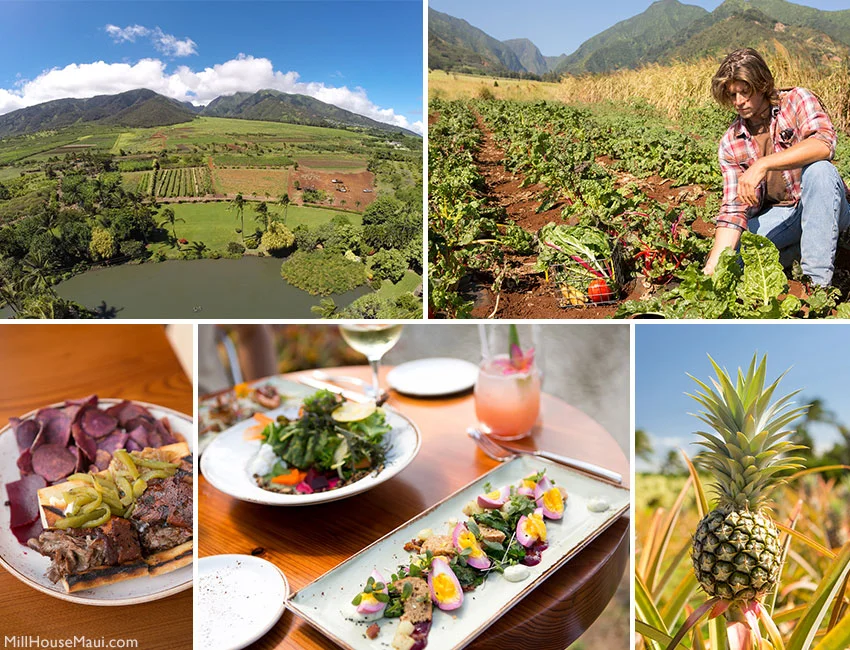 Farm to Table