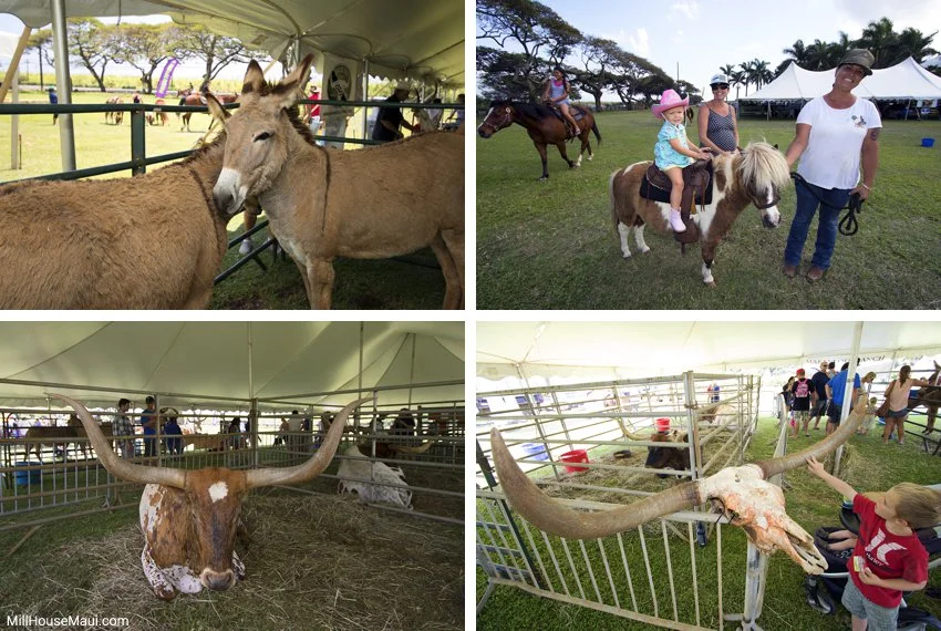 Maui petting zoo