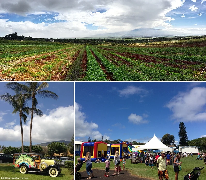 best maui festivals