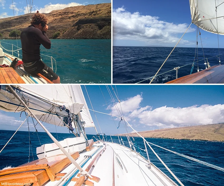 Shadowfax Cruise