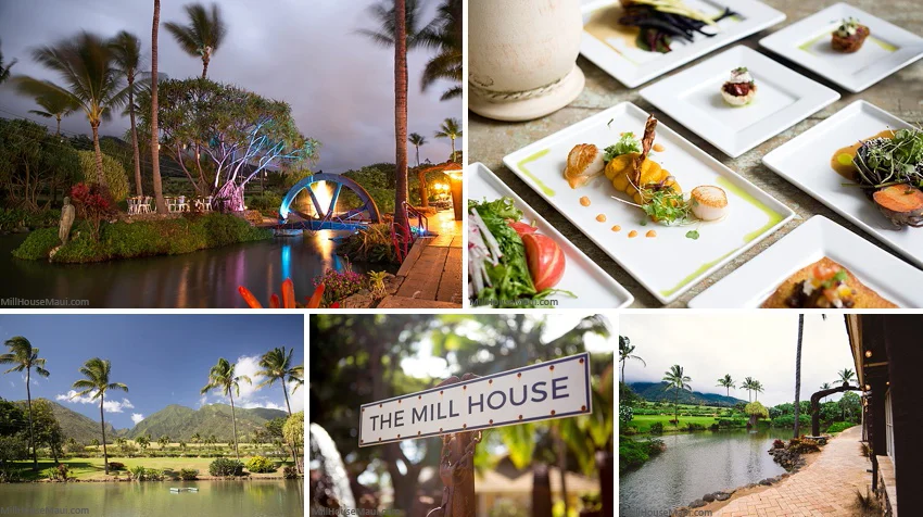 Maui Tropical Plantation Wedding