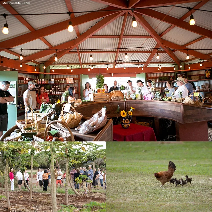 maui mill james beard top chef