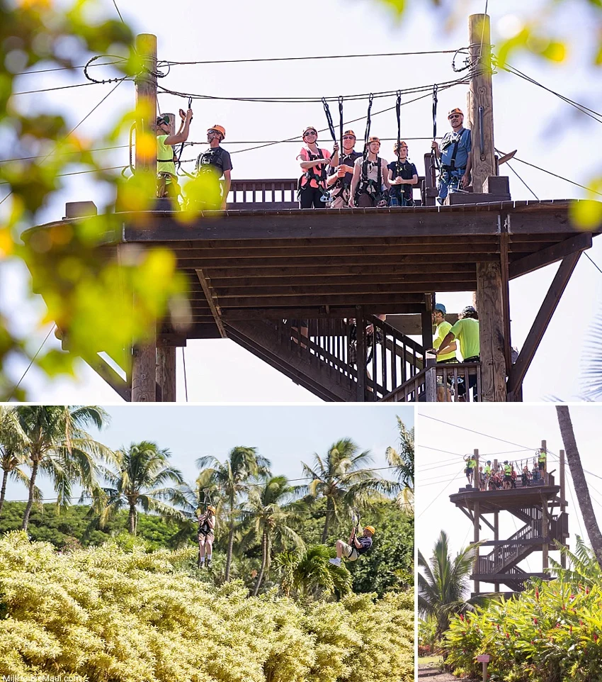 Maui Zipline