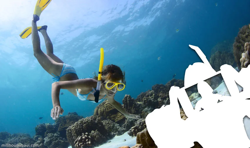 snorkeling