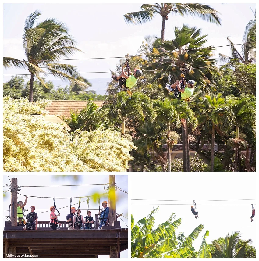 maui zip line