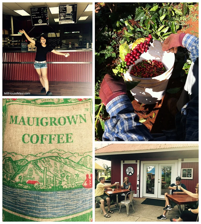The Mill House Coffee Roasting Company maui
