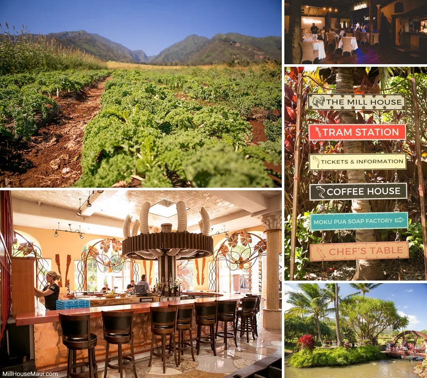 Best Maui Restaurants