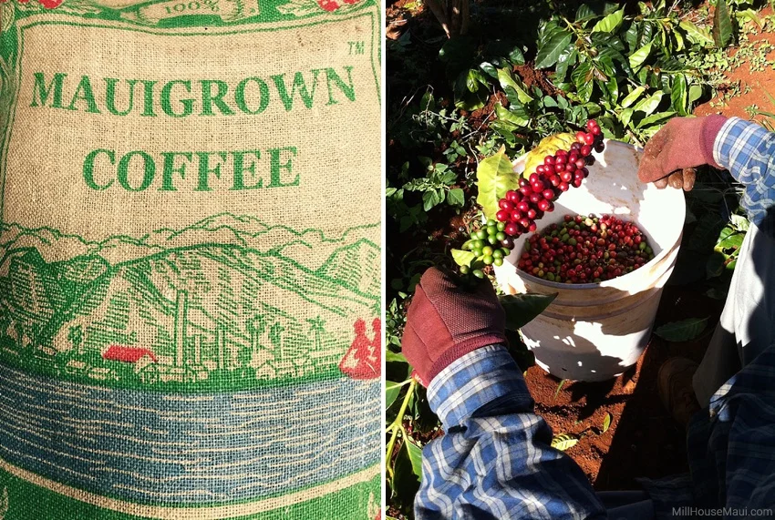 best hawaii coffee