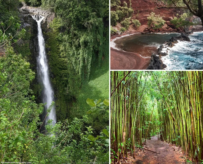 what makes hawaii the best