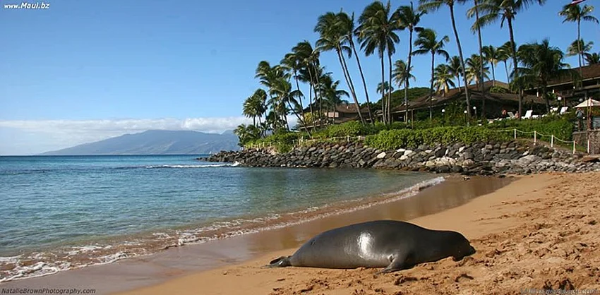 10 things hawaii does better