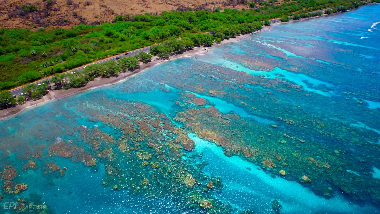 olowalu maui