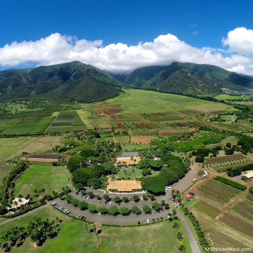 maui-tropical-plantation