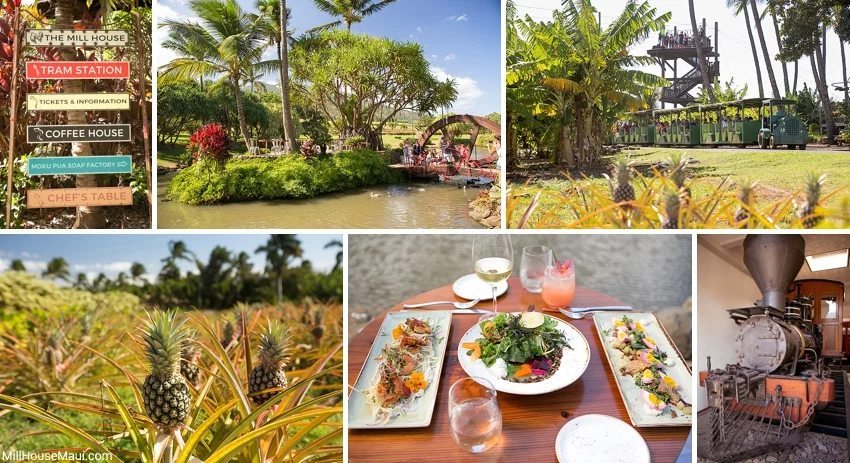Maui Tropical Plantation