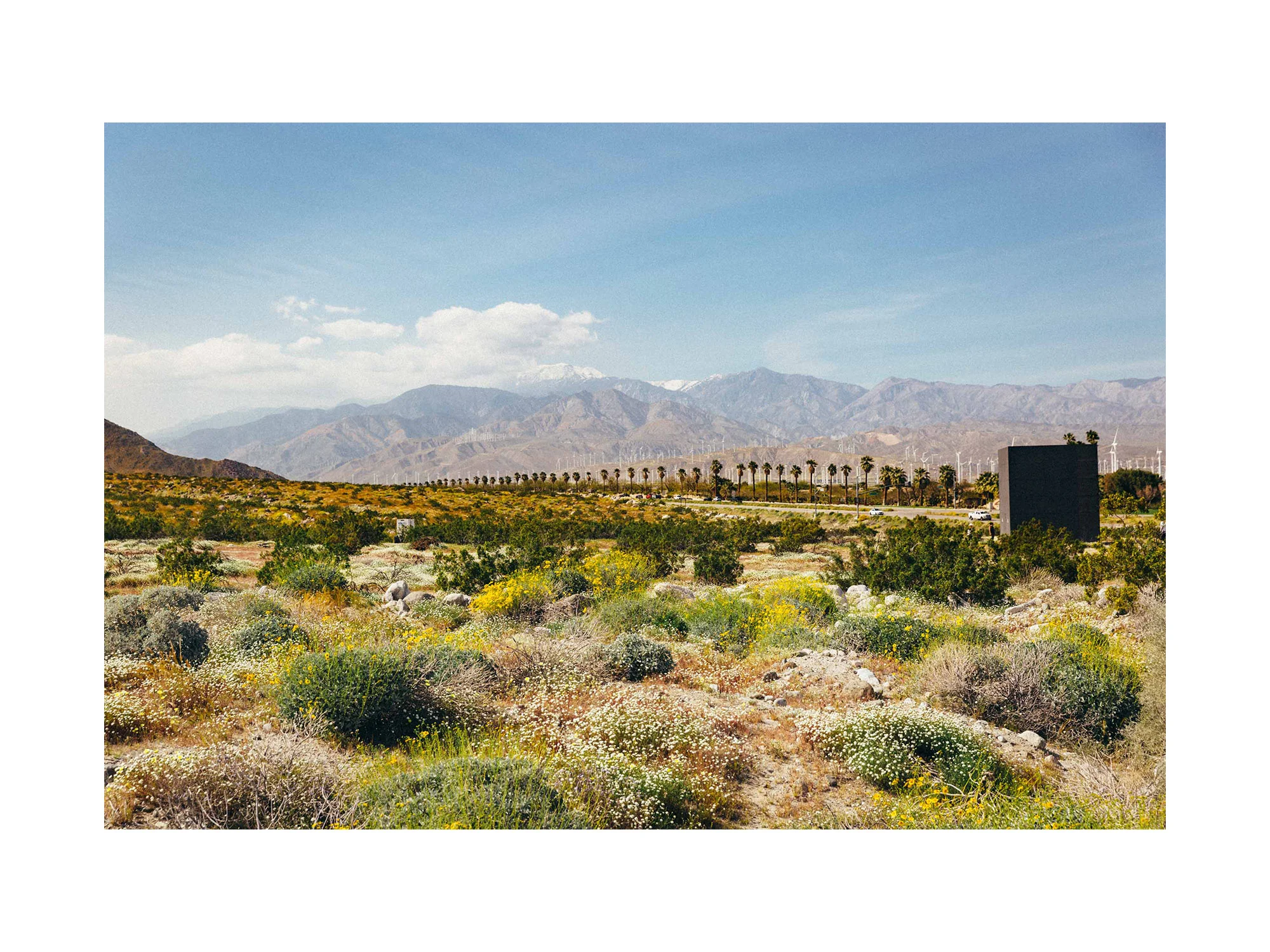 NEW WORK_Desert X 2019_© Rachael Wright-13a.jpg