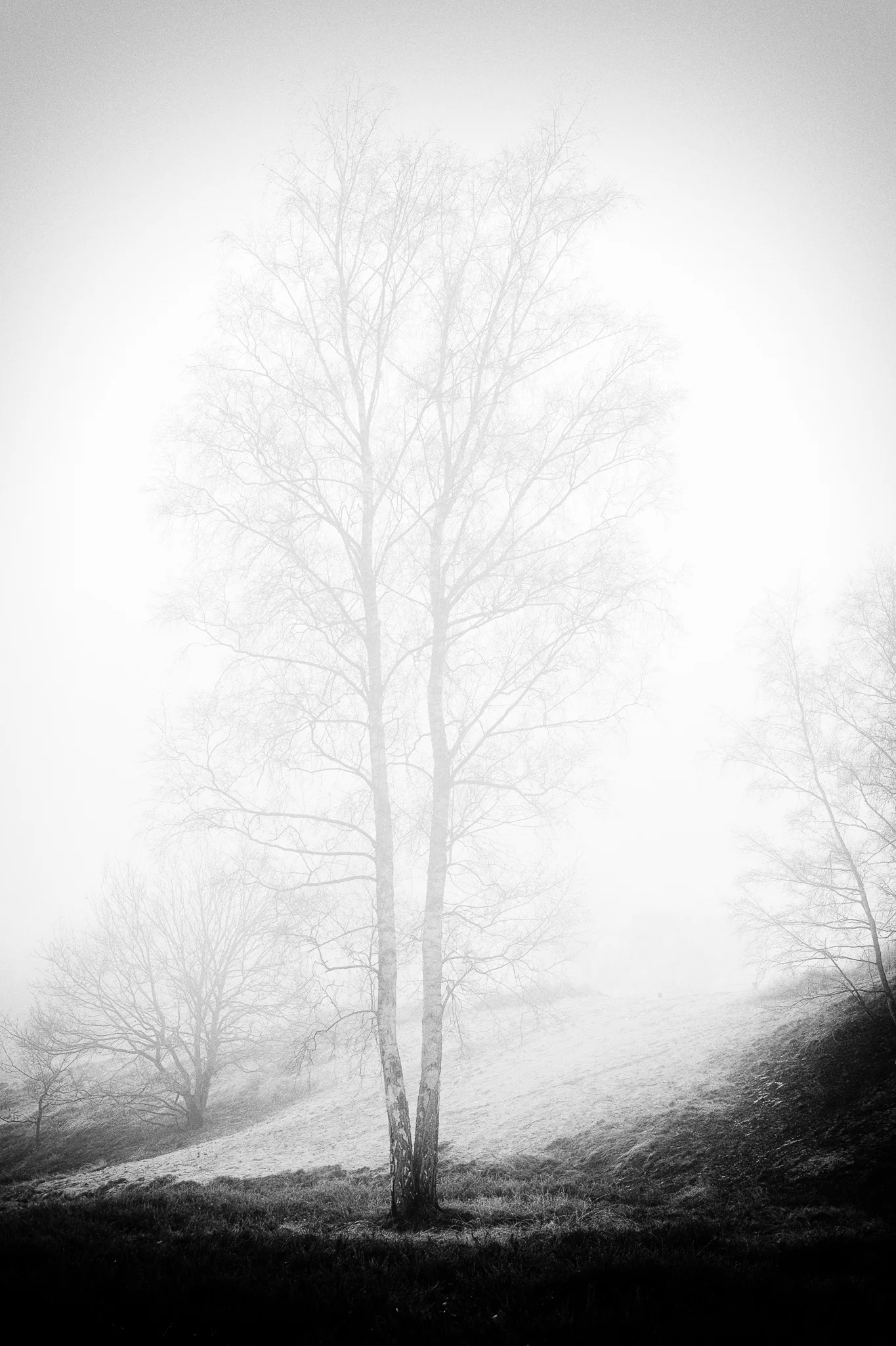DSCF1033-2.jpg