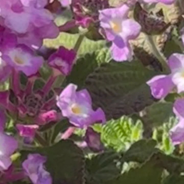 Meet our designer and more on cyril-studio.com, dumond-jewelry.com, leiladumond.com
Shop the entire collection of light for the future today 🎄