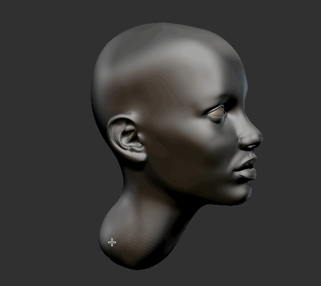 deGrey-MaterialTest-2.gif