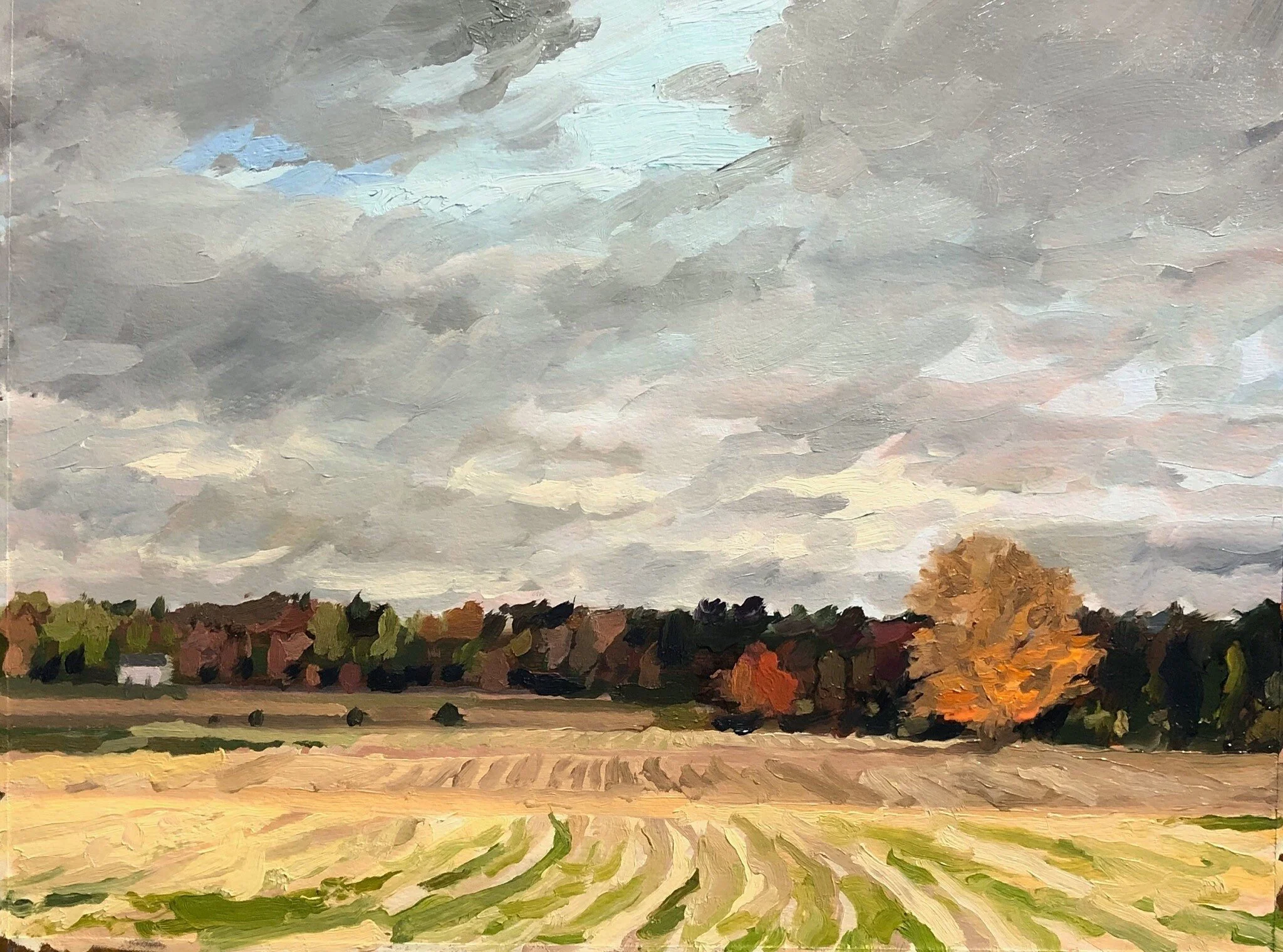 RJL_field.jpg